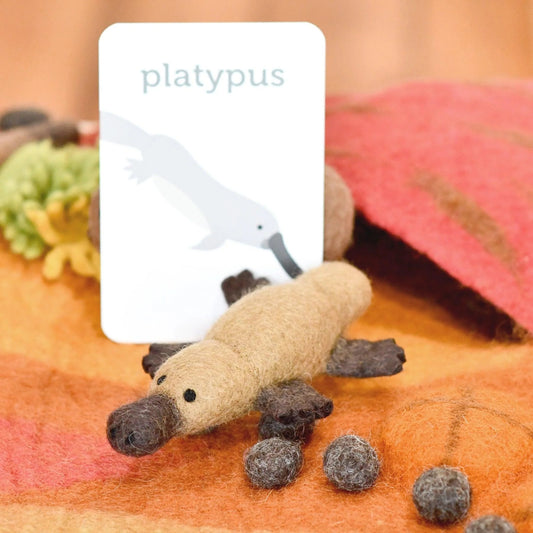 Australian Platypus
