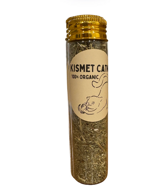 Catnip Organic (10grams)
