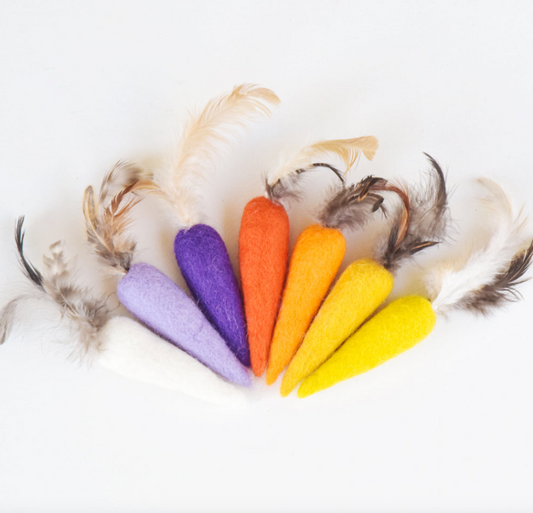 Feather Carrot toy