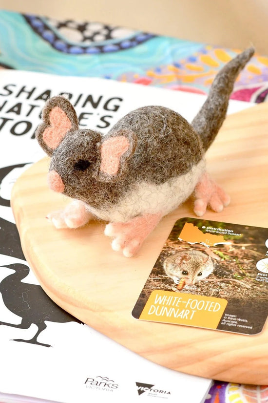 Native White-Footed Dunnart