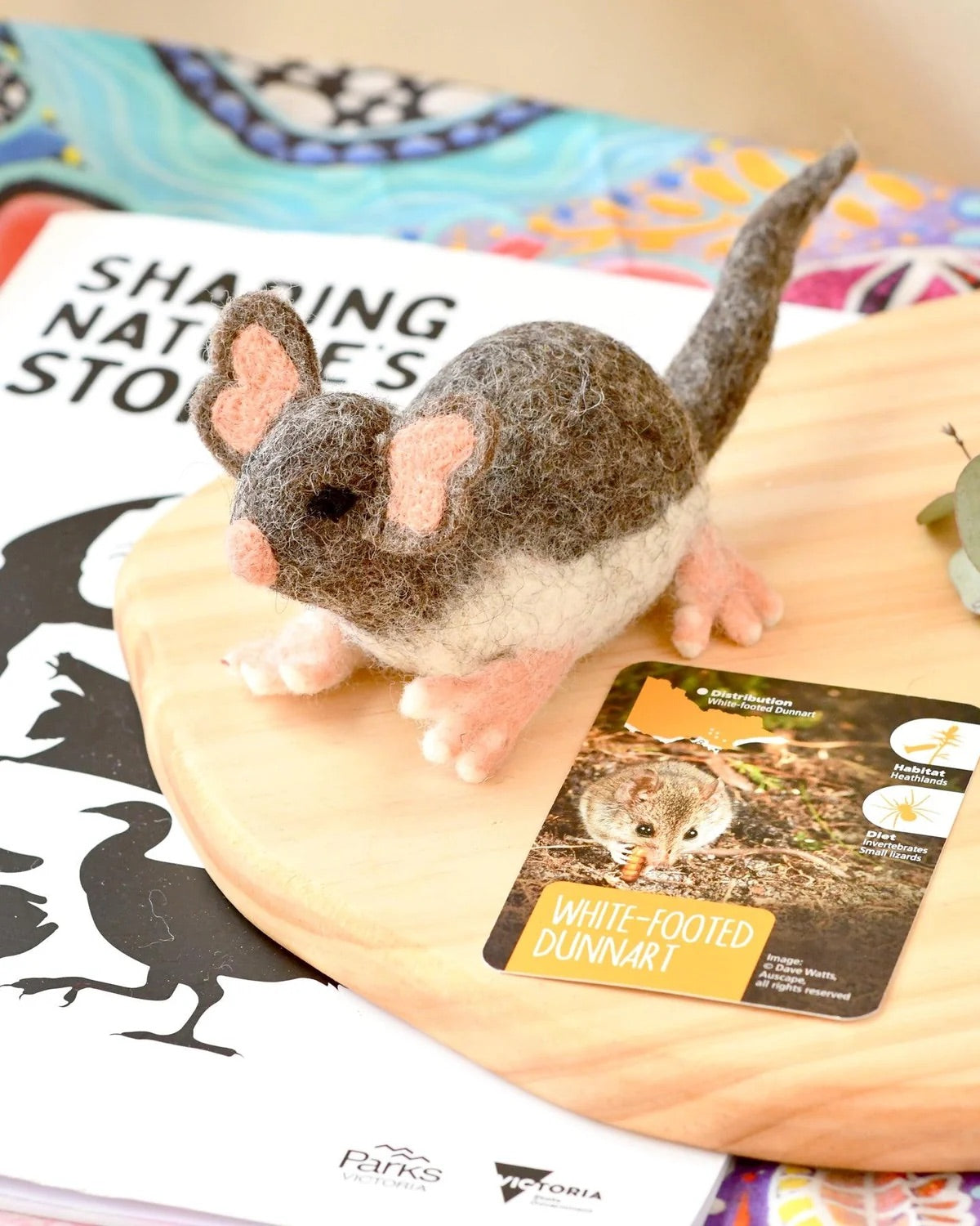 Native White-Footed Dunnart