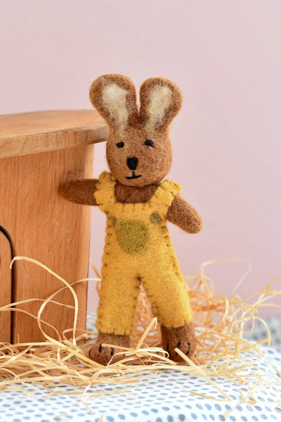 Rabbit in Overalls