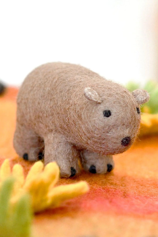 Australian Wombat