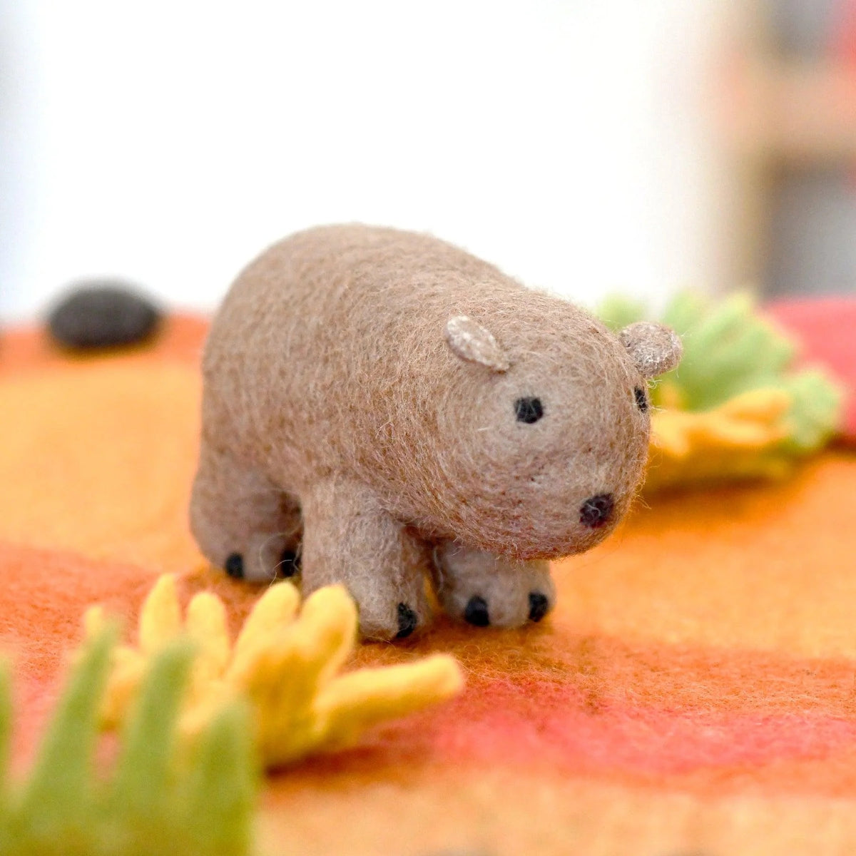 Australian Wombat