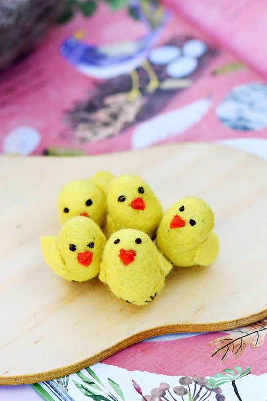 Baby Chick - Single