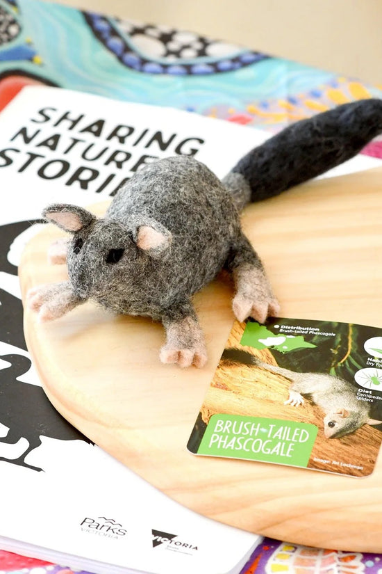 Native Brush-Tailed Phascogale