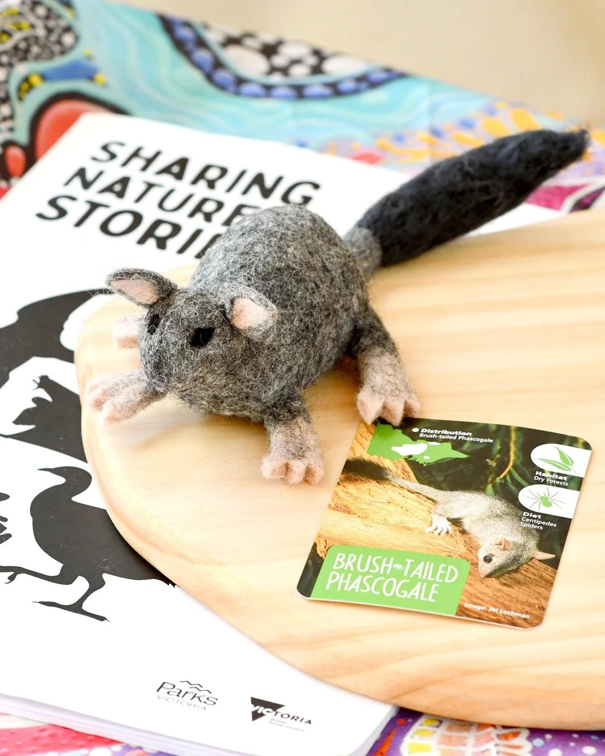 Native Brush-Tailed Phascogale
