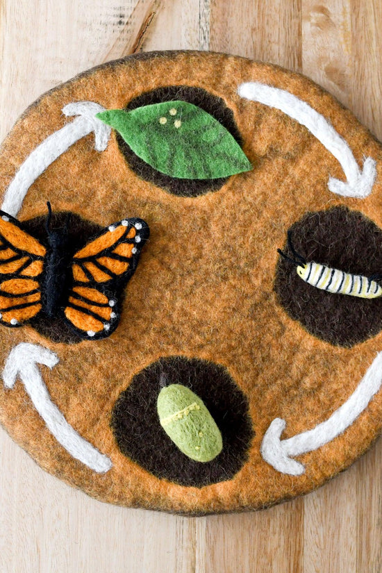 Butterfly Life Cycle