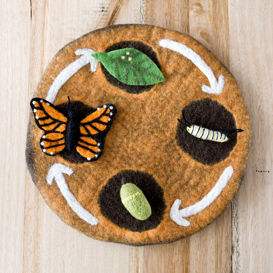 Butterfly Life Cycle