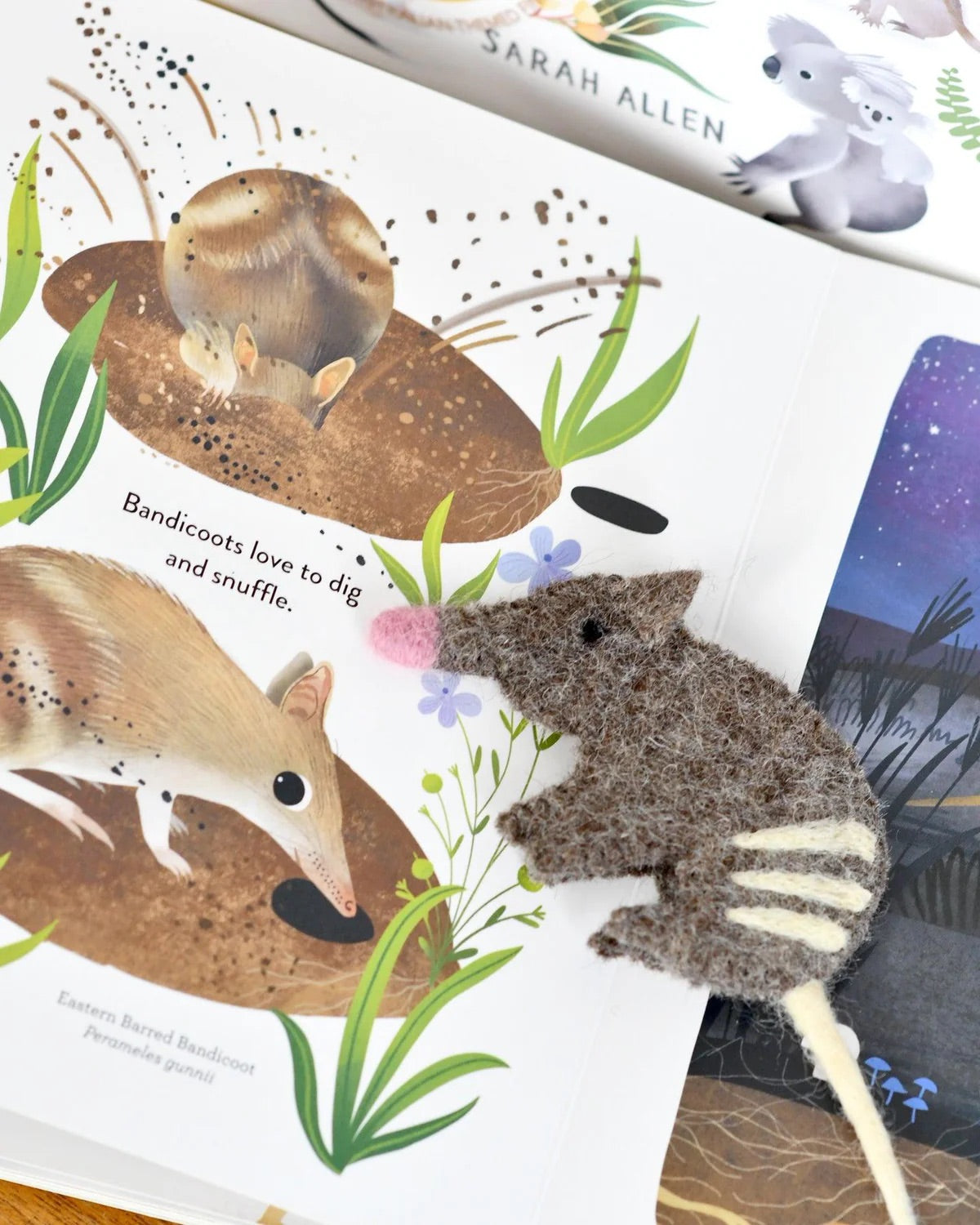 Jumping Joeys Book and Finger Puppet Set
