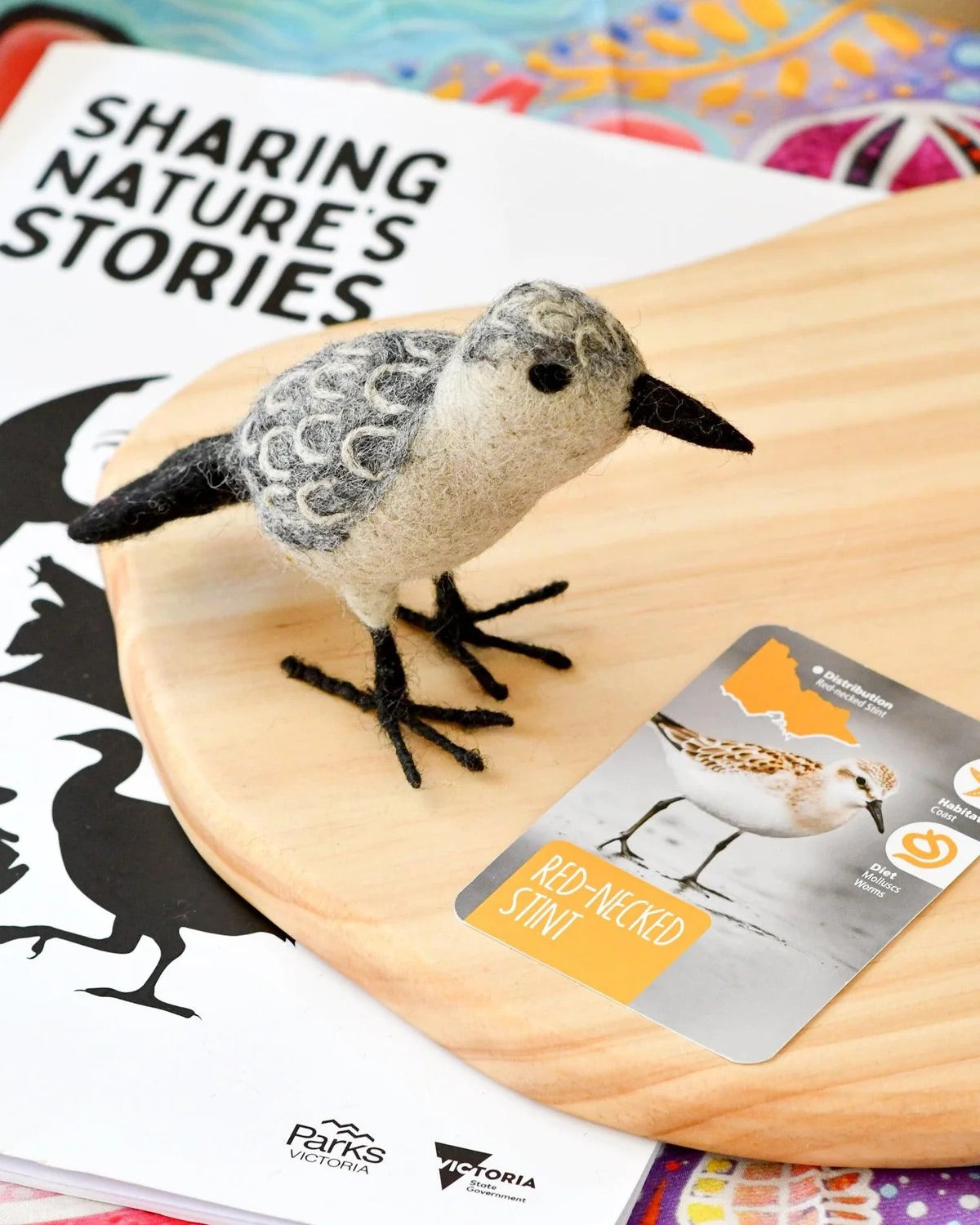 Native Red-Necked Stint