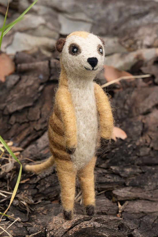 Vevoke - Meerkat