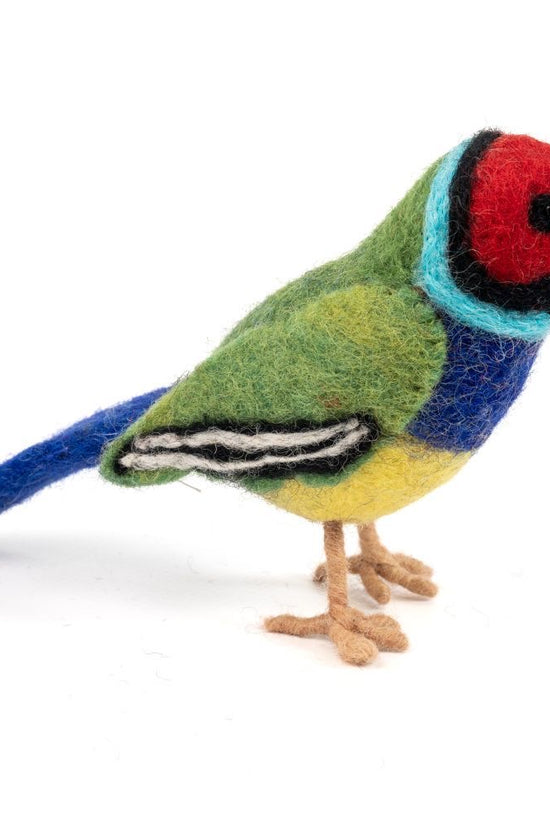 Vevoke - Gouldian Finch