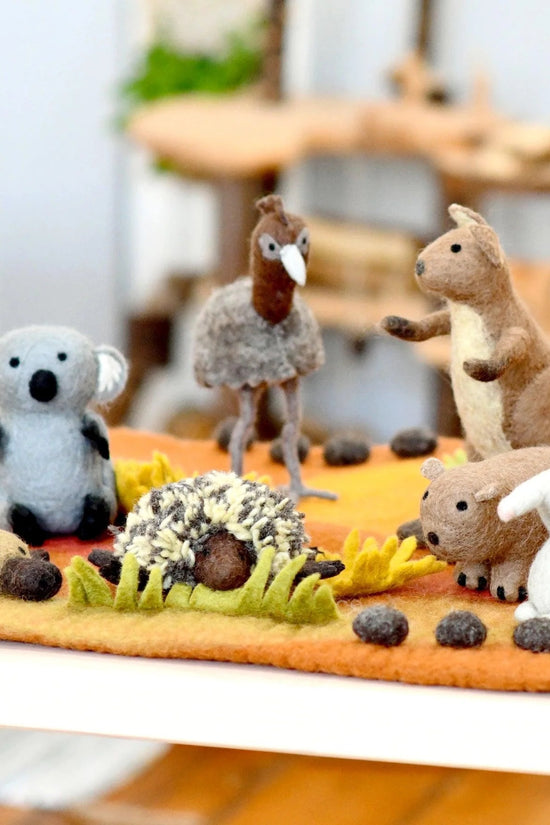 Australian Wombat