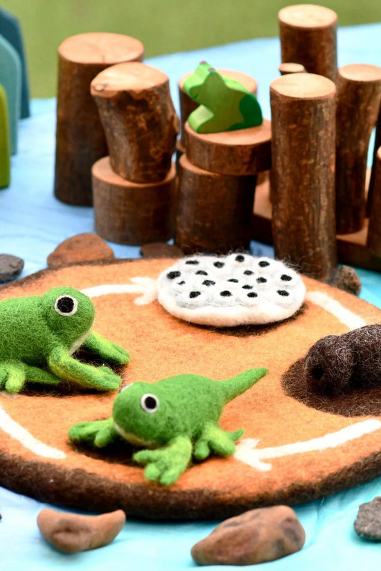 Frog Life Cycle
