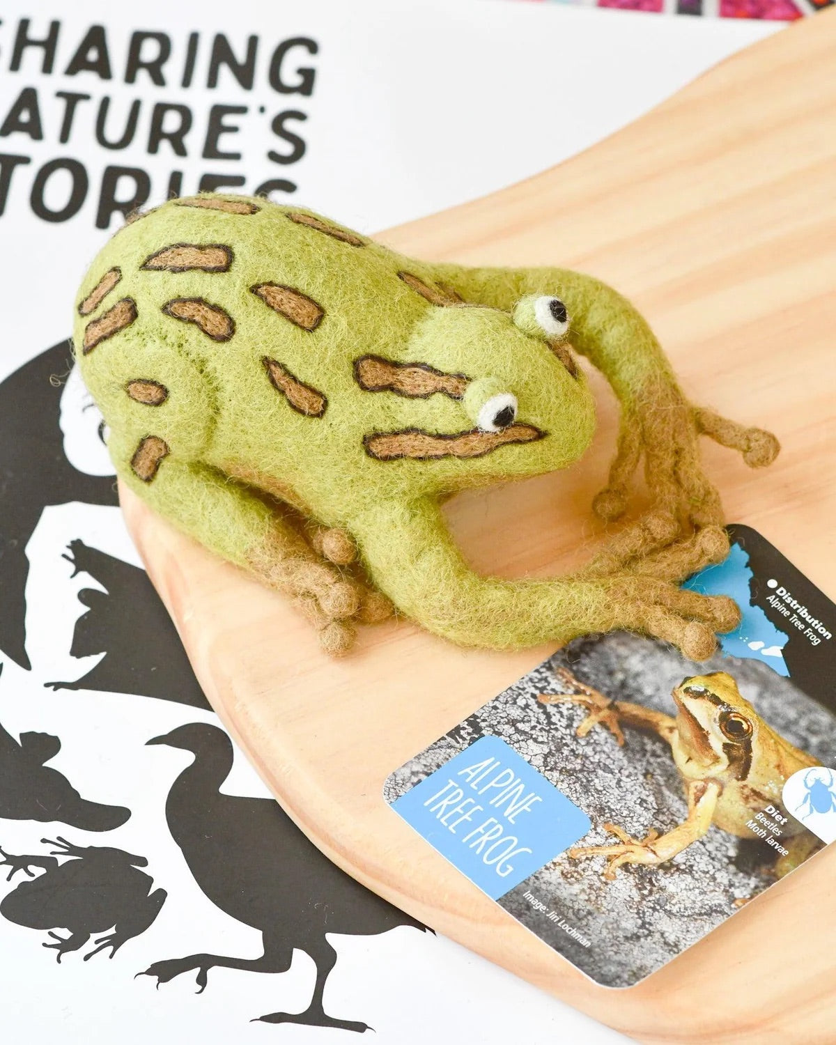 Native Alpine Tree Frog