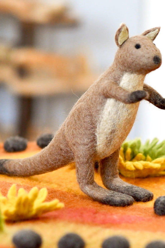 Australian Kangaroo