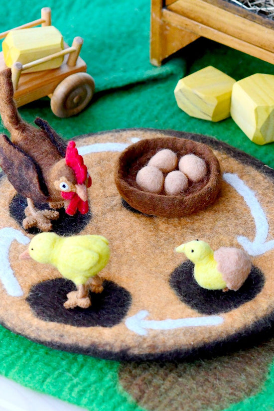 Chicken Life Cycle