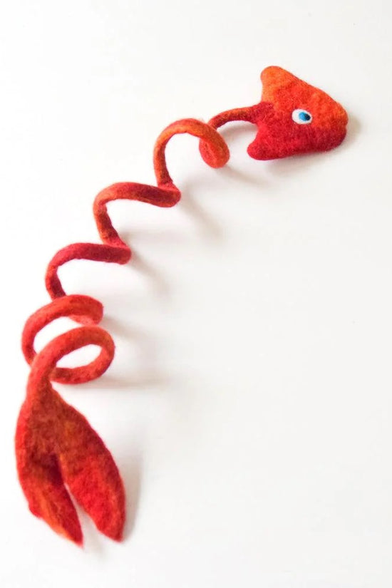 Fish Spring Toys