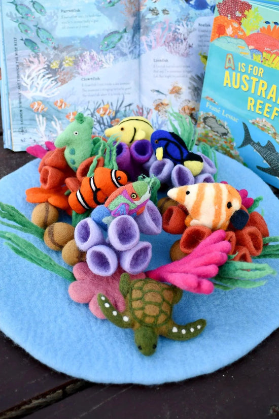 Coral Reef Playscape