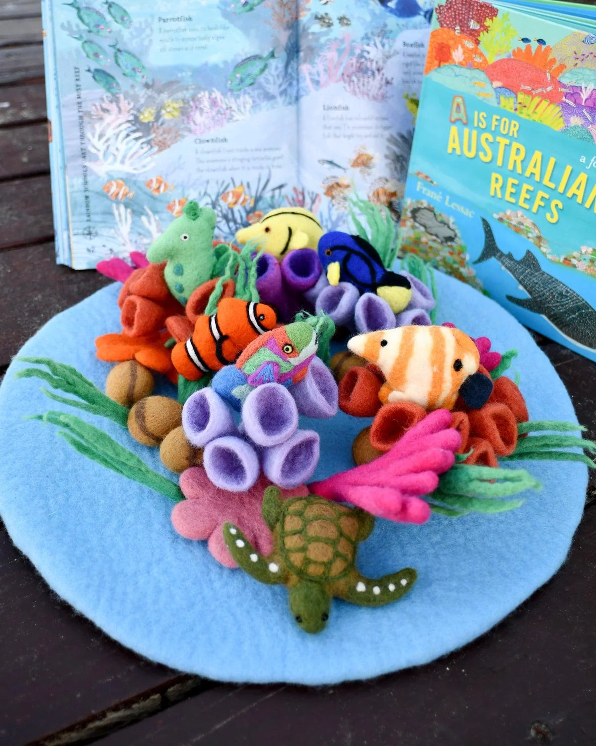 Coral Reef Playscape