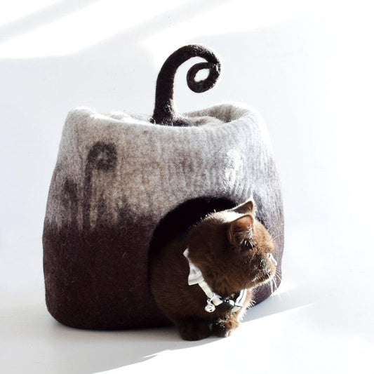 Cave - Brown Fern
