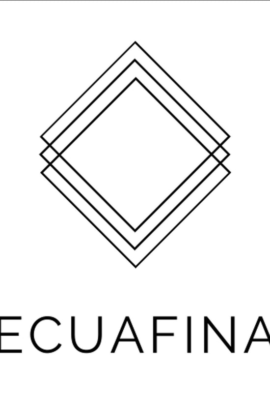 Logo of EcuaFina