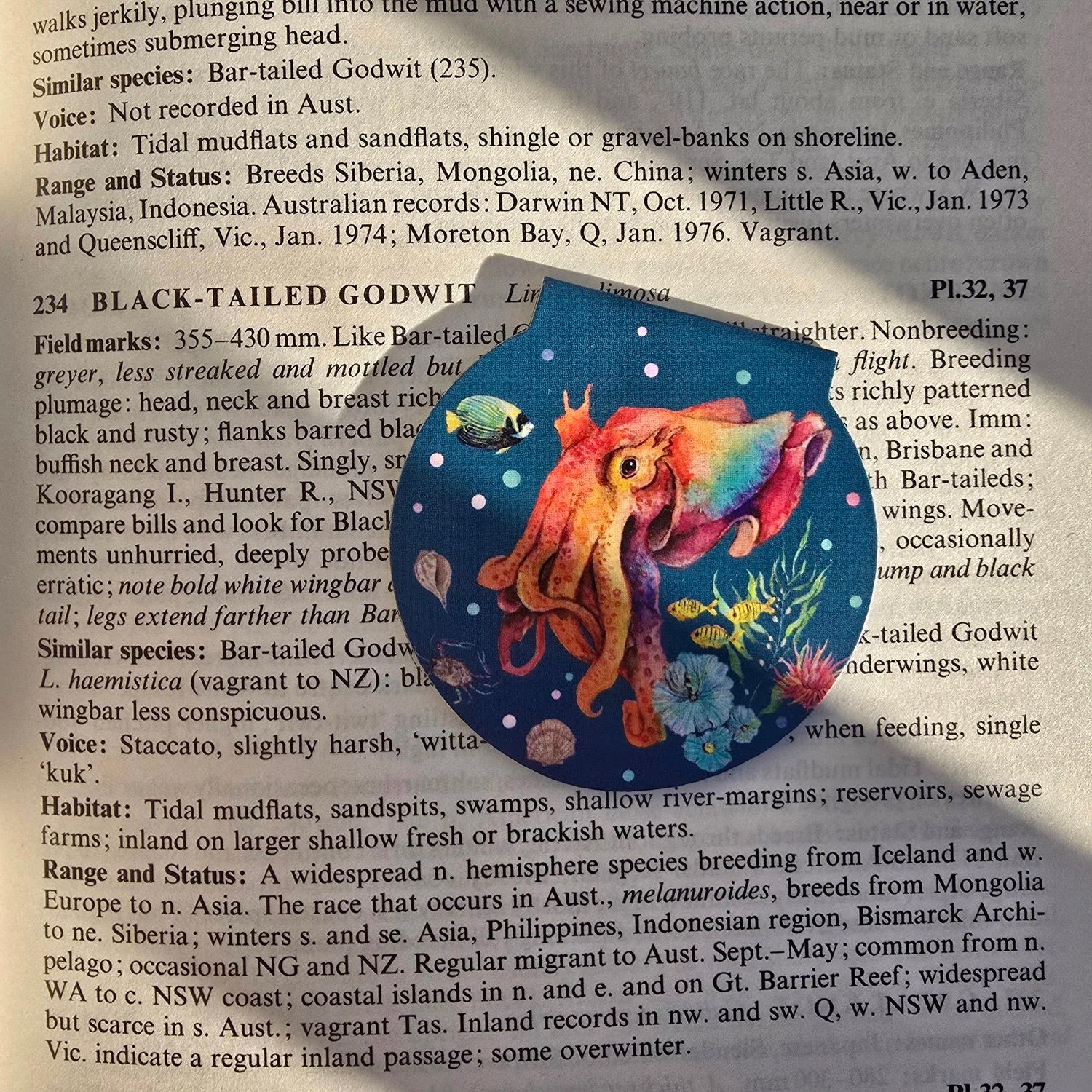 Magnetic Bookmark (Single)