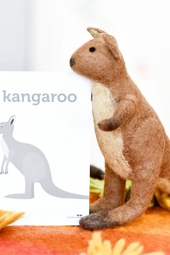 Australian Kangaroo