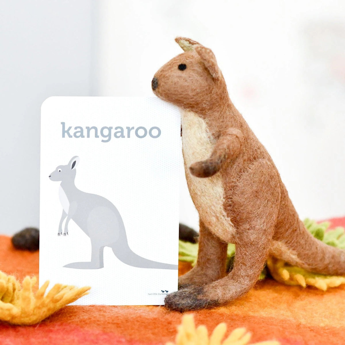 Australian Kangaroo