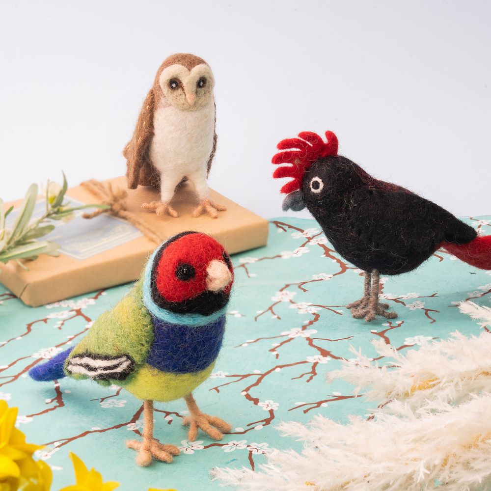 Vevoke - Gouldian Finch