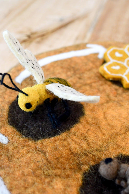 Bee Life Cycle