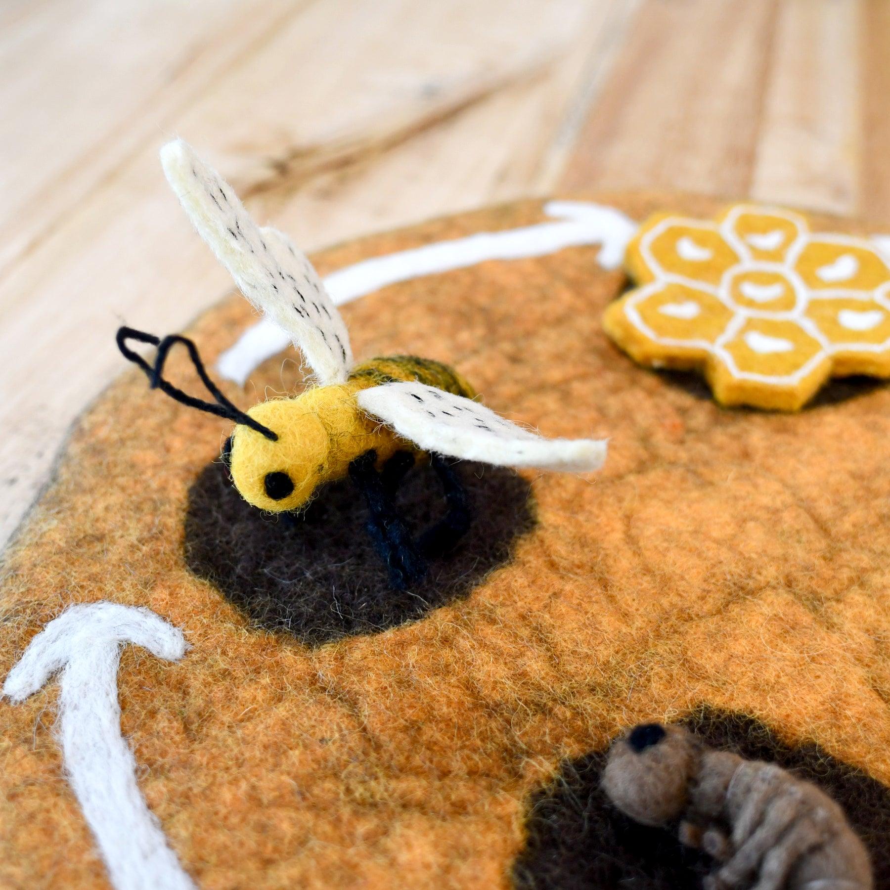 Bee Life Cycle