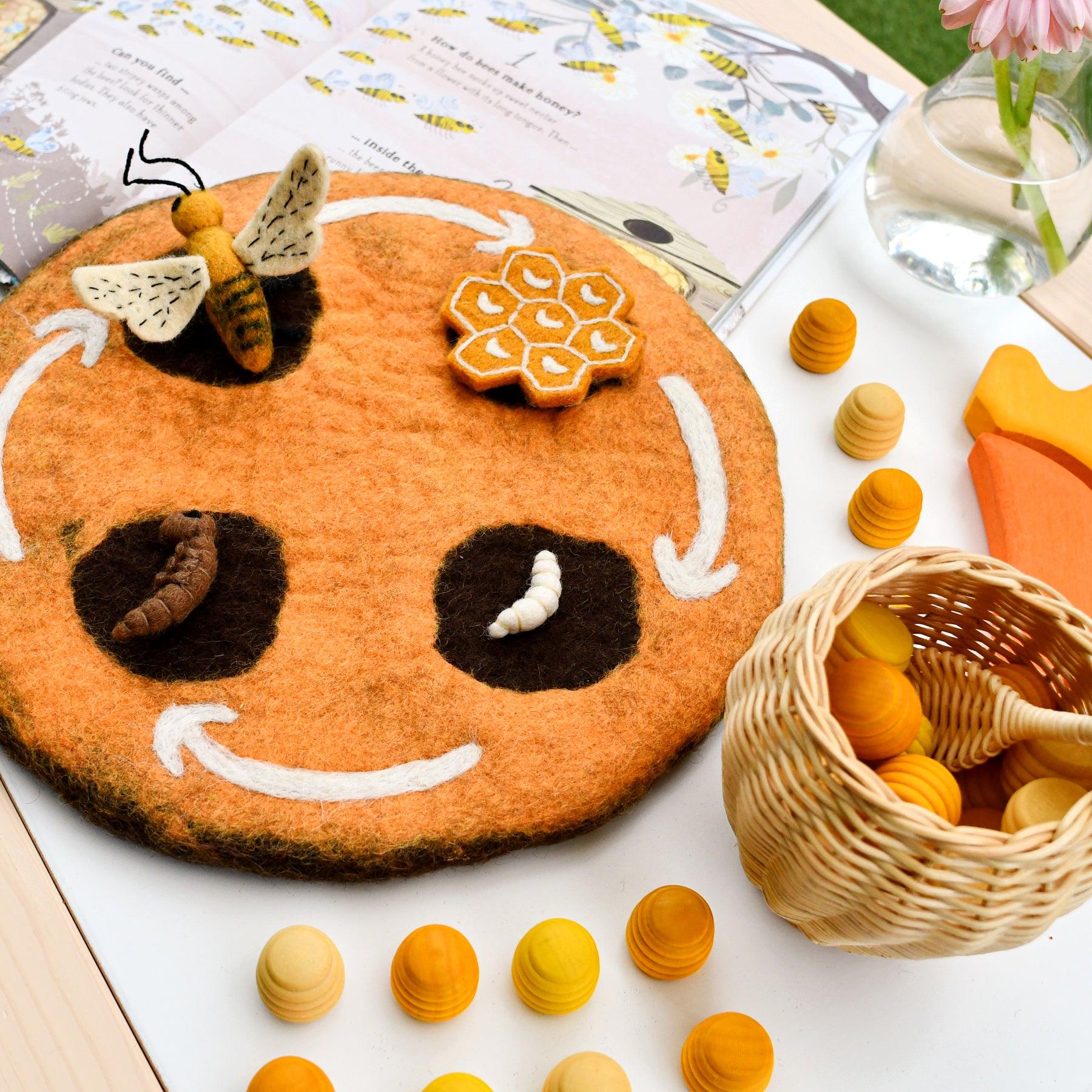 Bee Life Cycle