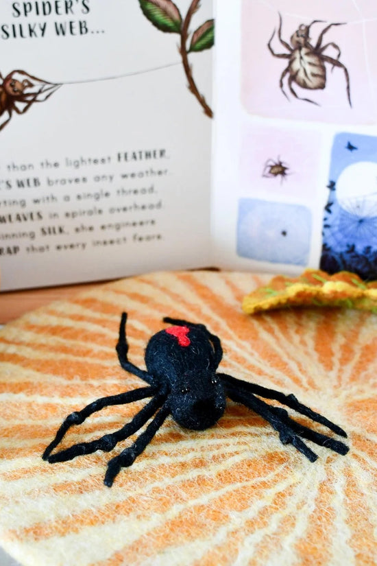 Spider Life Cycle