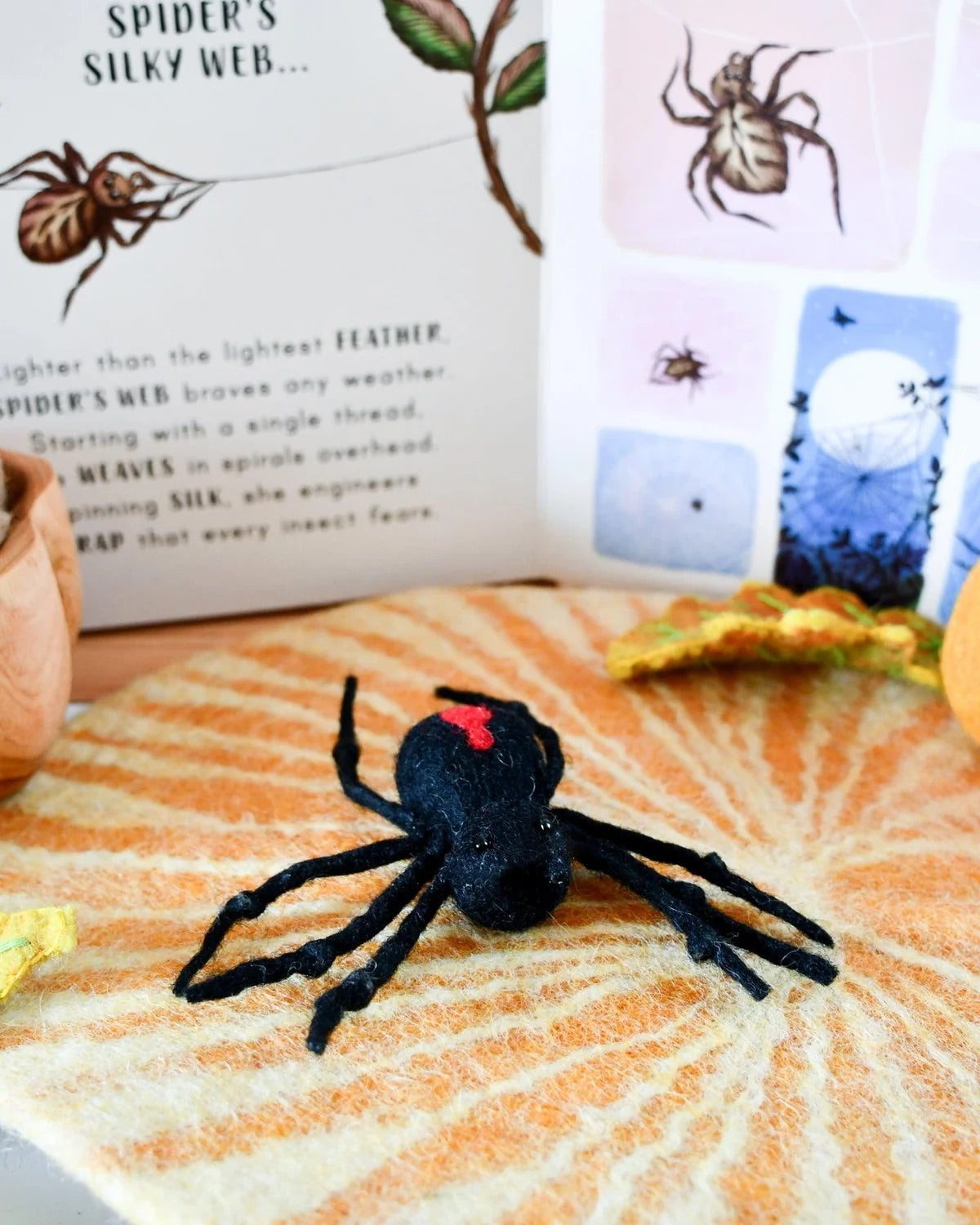 Spider Life Cycle