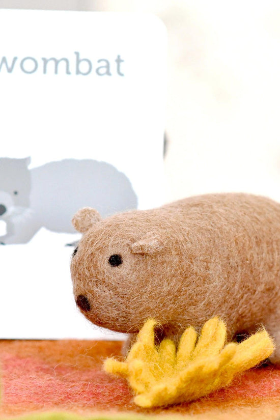 Australian Wombat