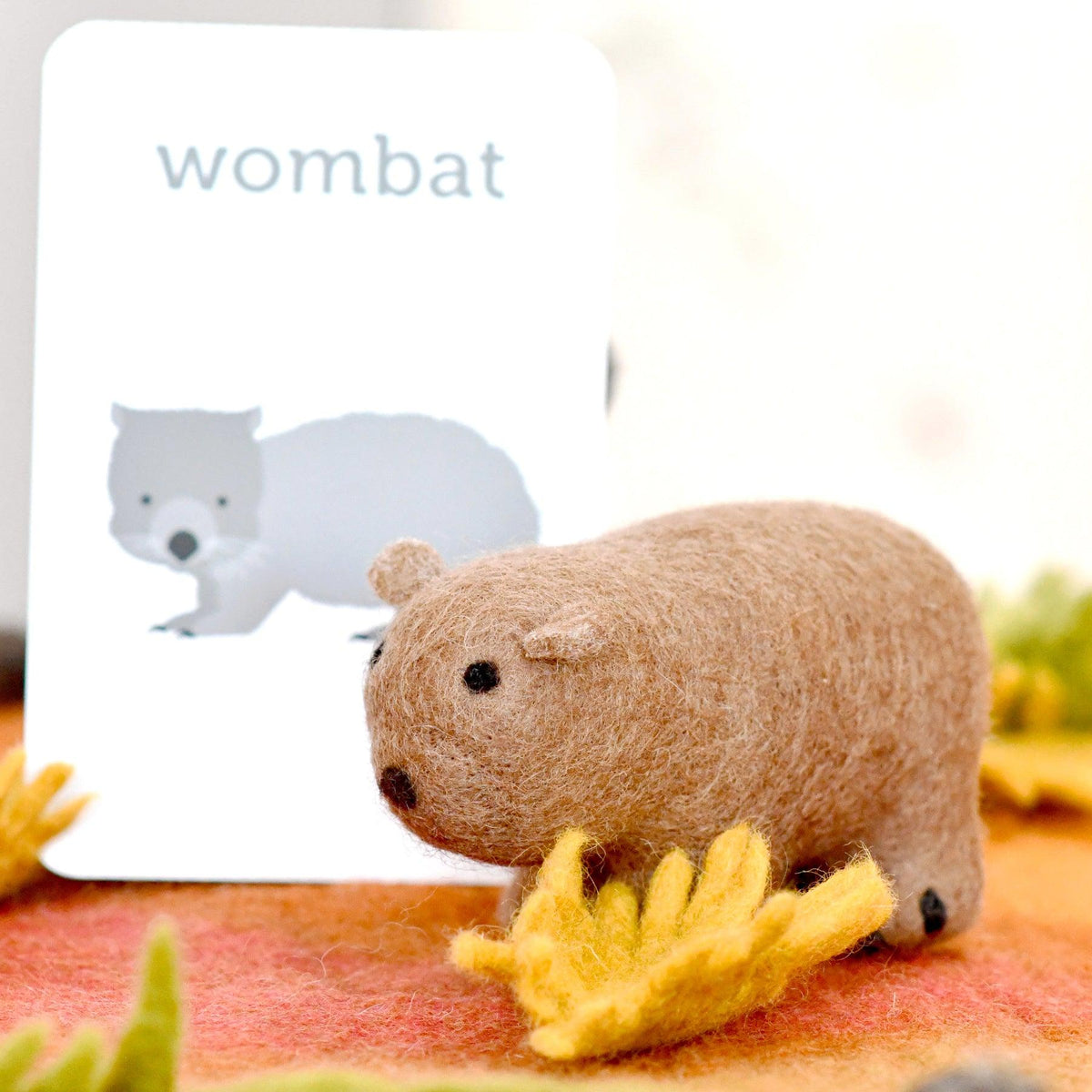 Australian Wombat