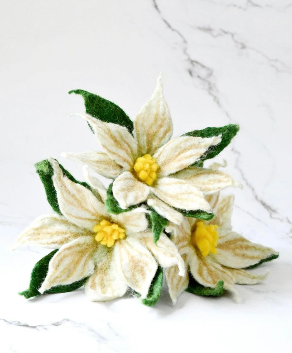 Flower - White Poinsettia (set of 3)