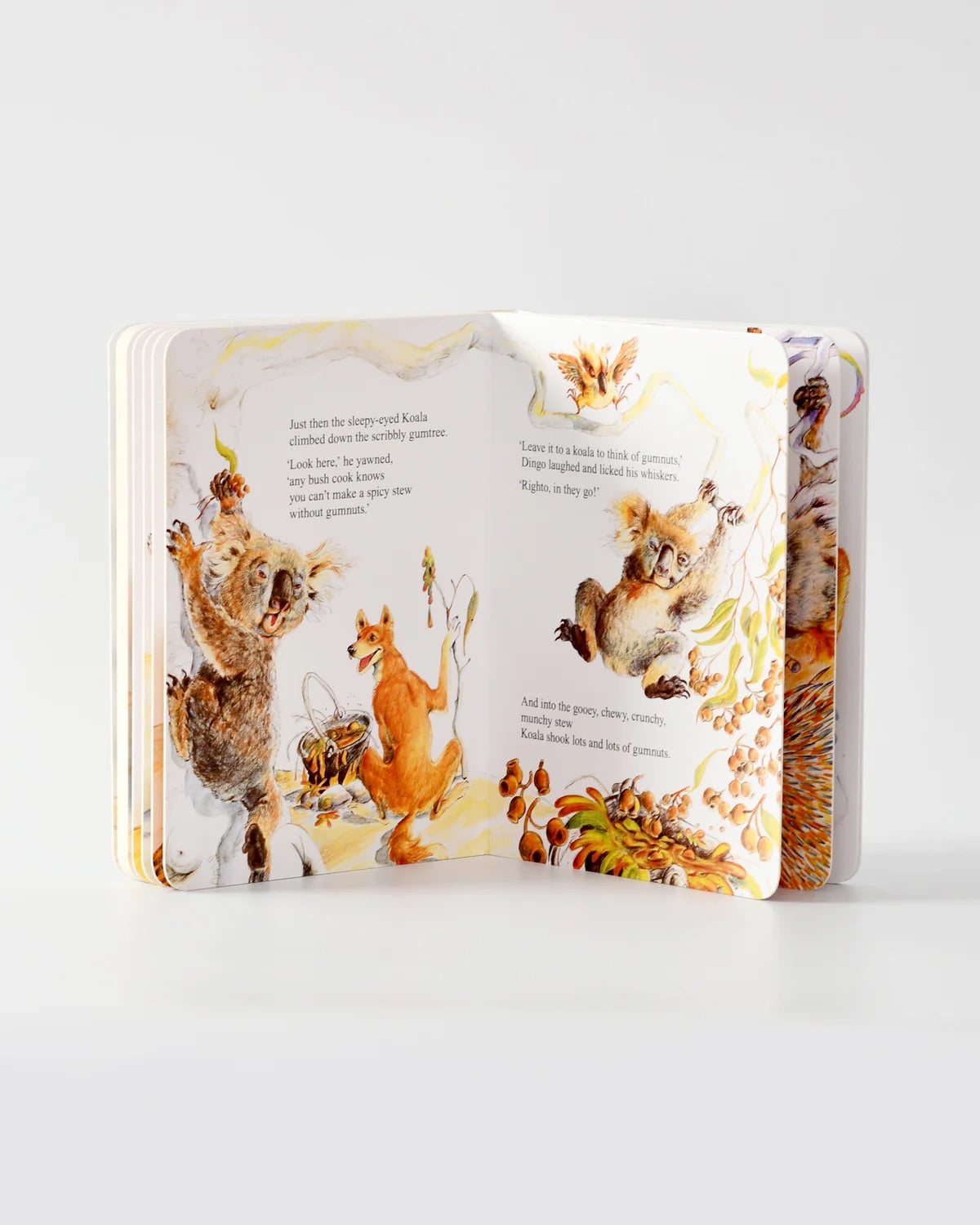 Wombat Stew Book