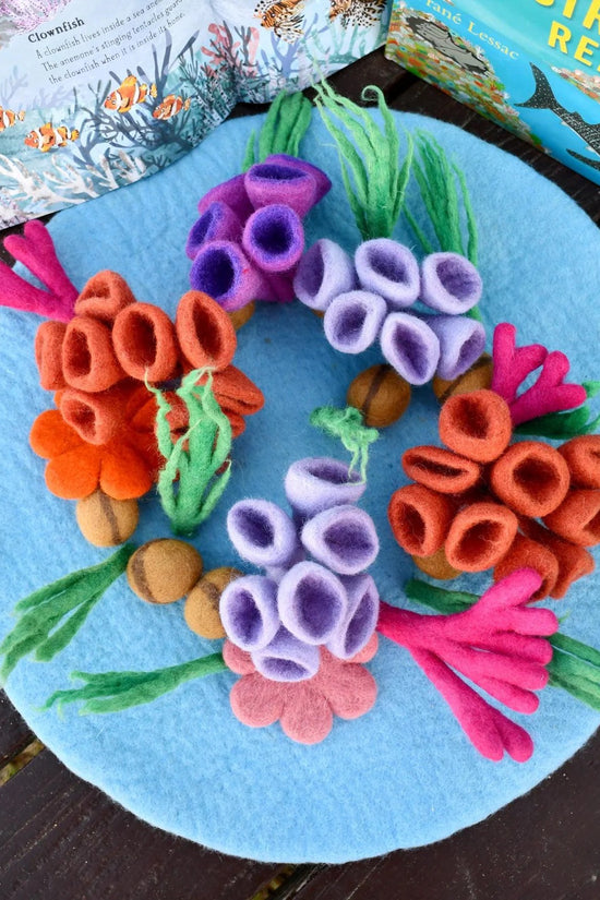 Coral Reef Playscape