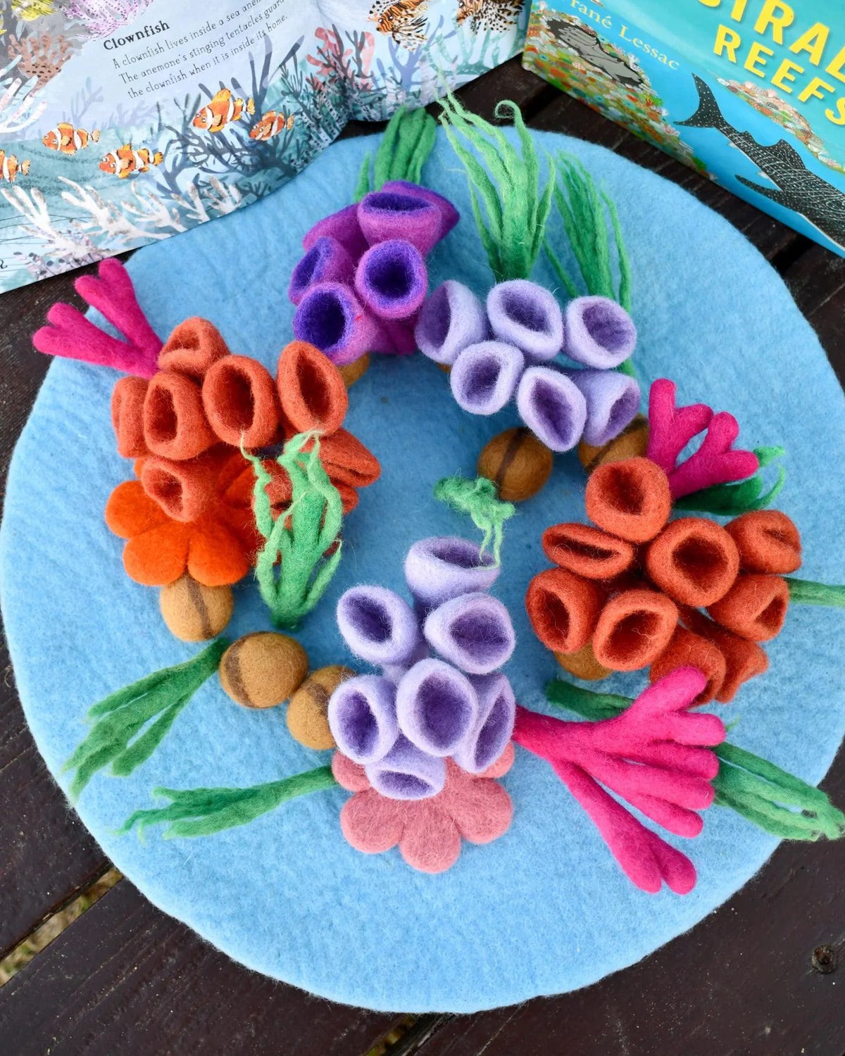 Coral Reef Playscape