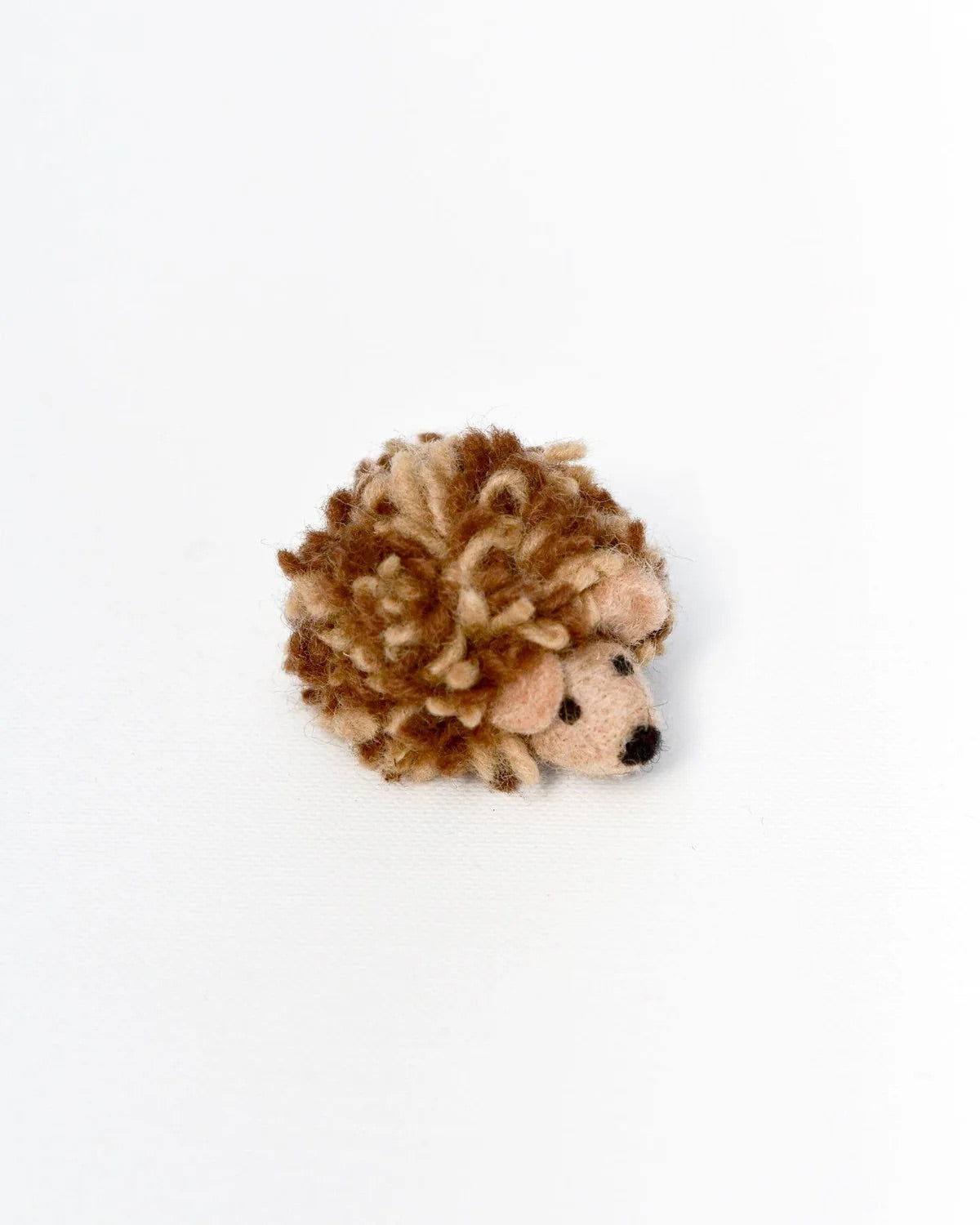 Baby Hedgehog