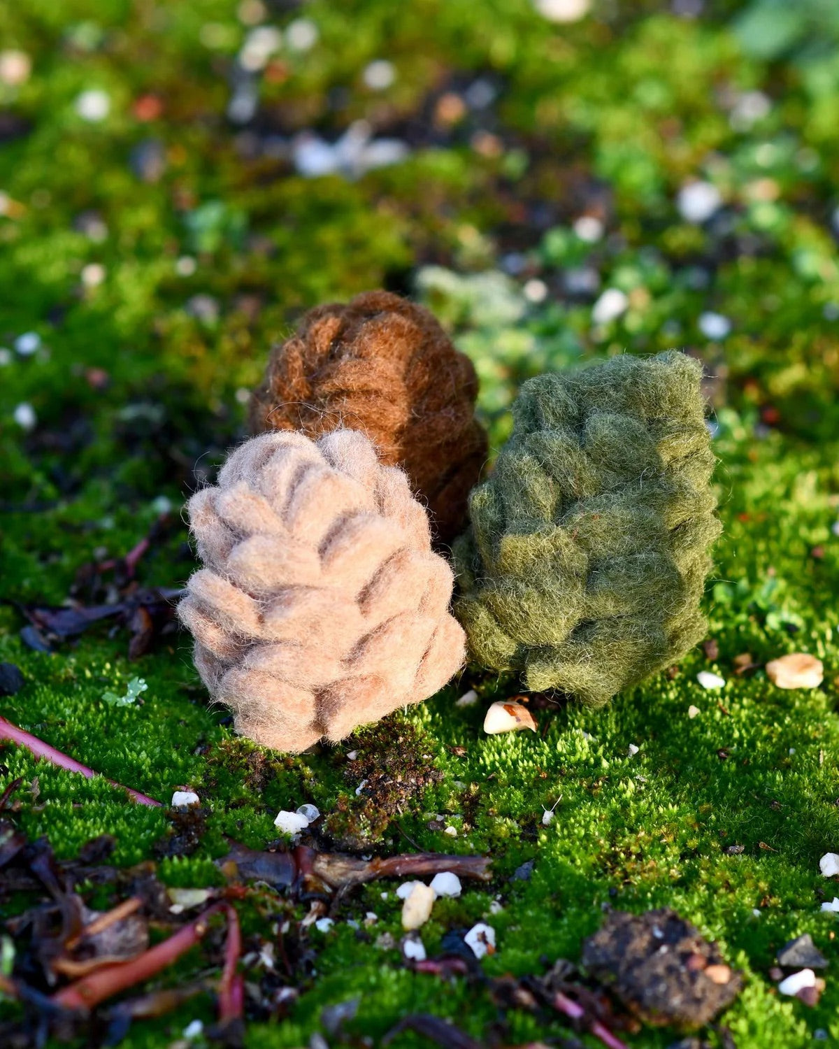Pinecone - Single