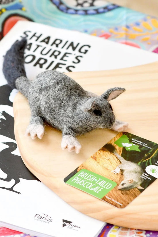 Native Brush-Tailed Phascogale
