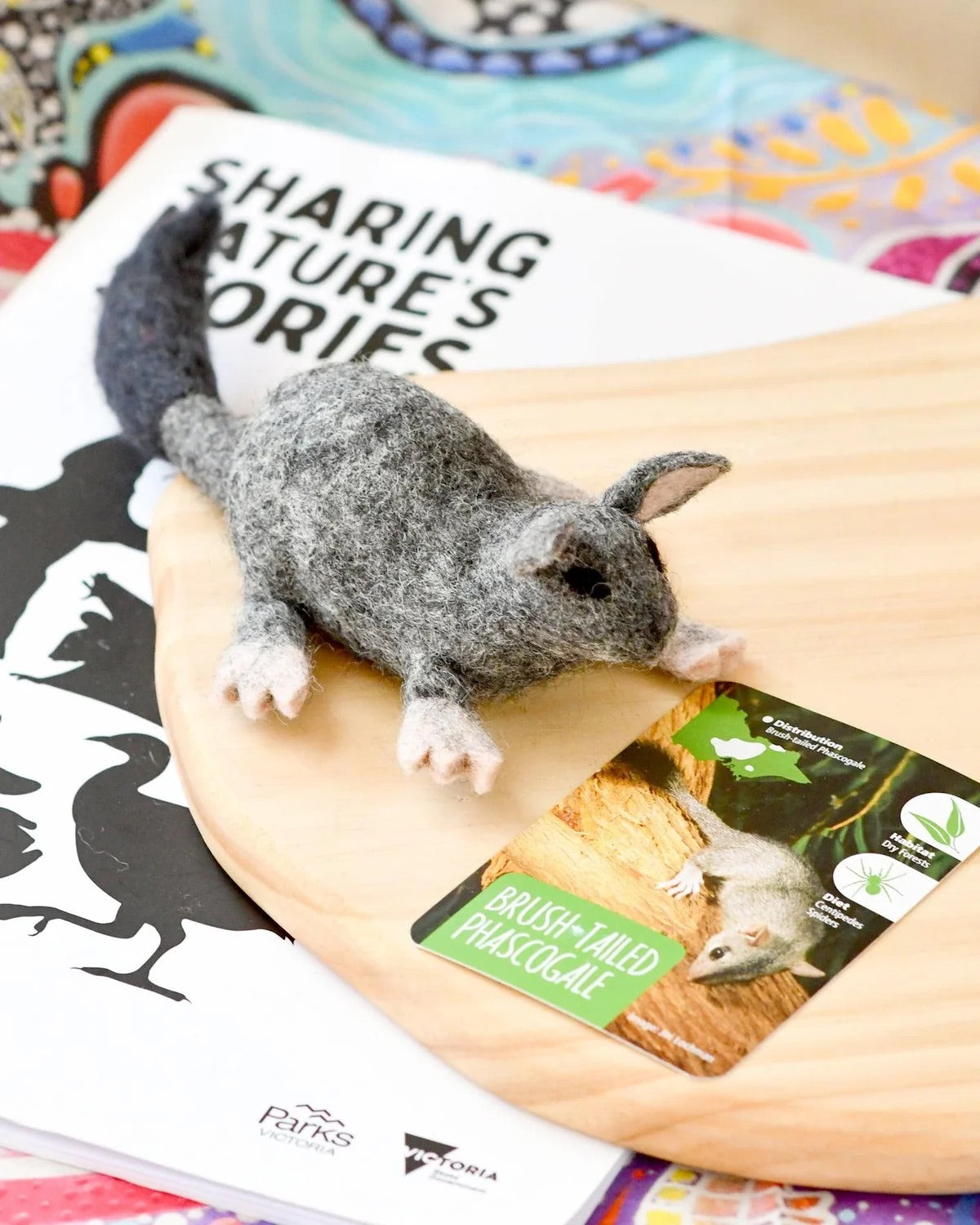 Native Brush-Tailed Phascogale