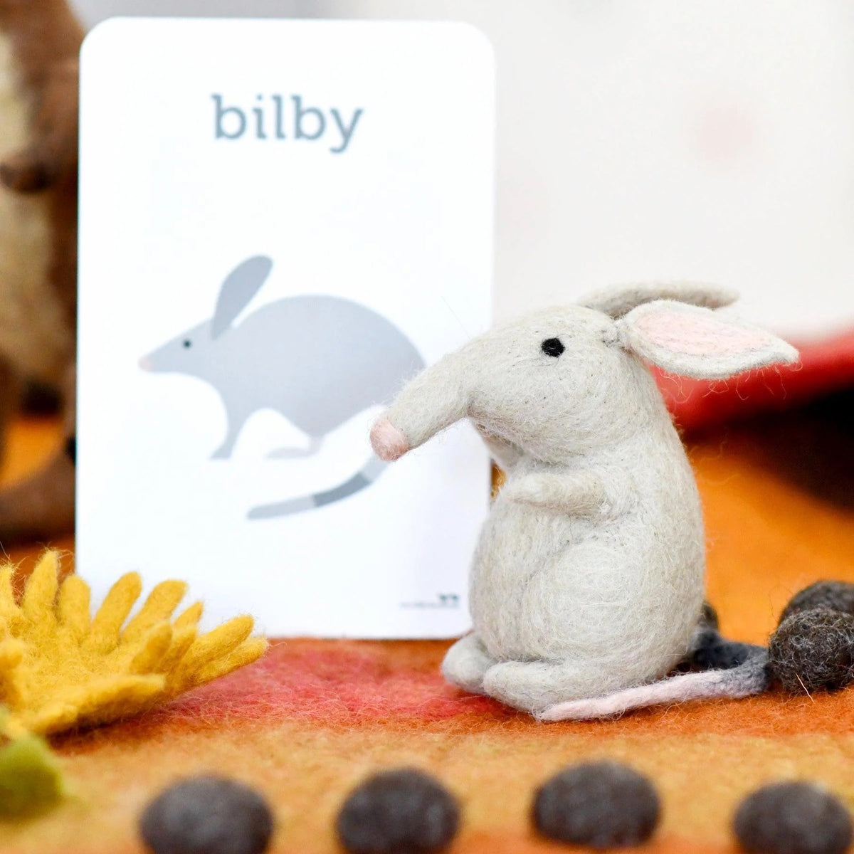 Australian Bilby