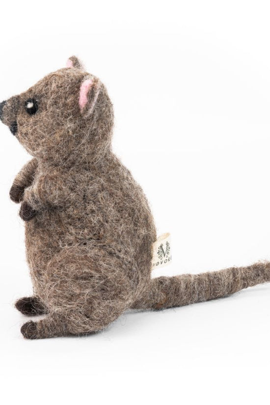 Vevoke - Quokka