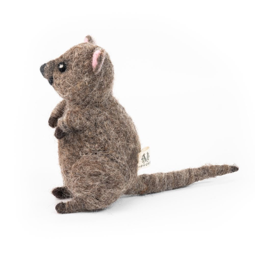 Vevoke - Quokka