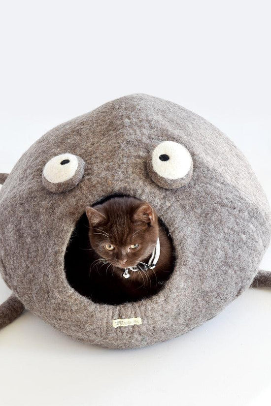 Cat Cave - Octopus